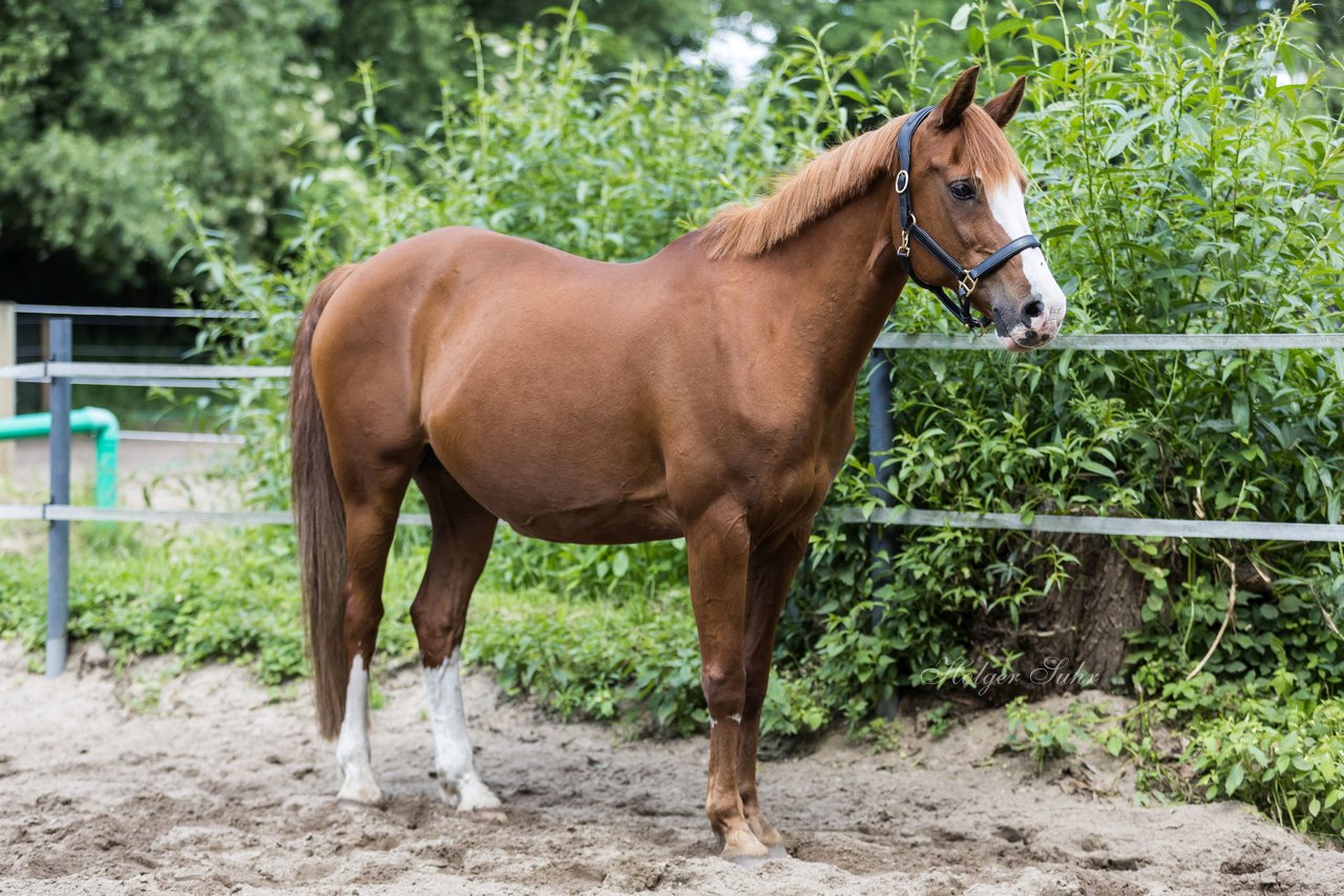 Bild 80 - Vivi